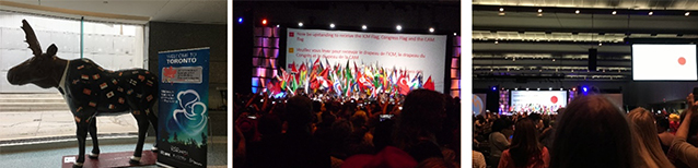 31st International Confederation of MidwivesiICMj Triennial Congress
